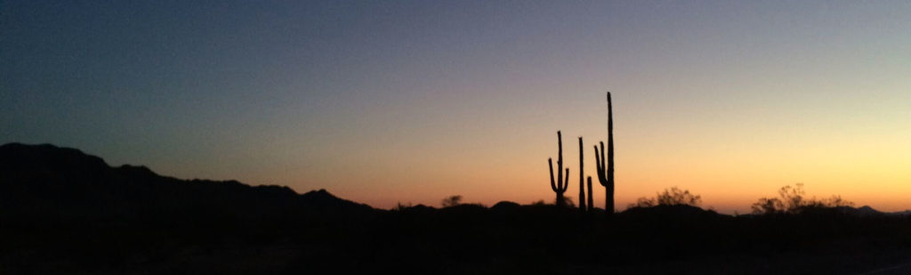 Arizona Native Plants - Cactus Supplier and Delivery Transportation ...